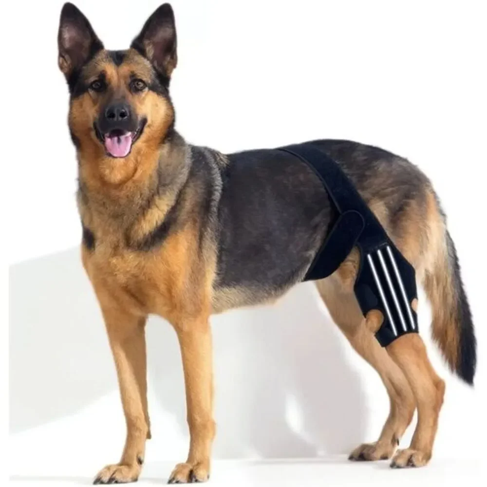 BENCMATE Adjustable Dog Knee Brace, Universal Designed for All Four Limbs, Small